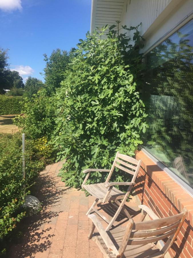 Vaerelse Med Udsigt Over Limfjorden - Rolige Omgivelser Og Adgang Til Flot Have Nykobing Mors Exterior photo